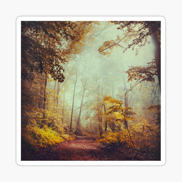 silent forest Sticker