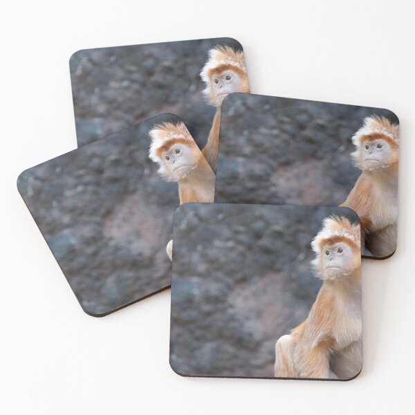 Item preview, Bronx Zoo Monkey designed and sold by DangerGirlAC.