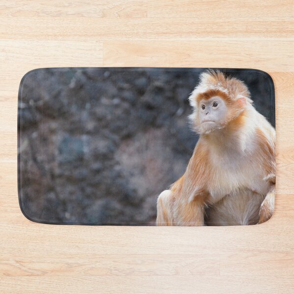 Item preview, Bronx Zoo Monkey designed and sold by DangerGirlAC.