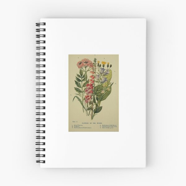 Item preview, spring flowers of the woods field guide page  designed and sold by teadetae.
