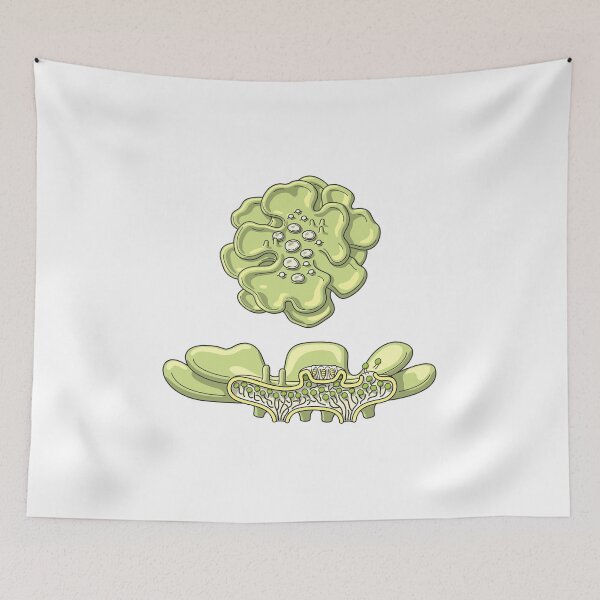Item preview, Lichen Structure Illustration designed and sold by taylorcustom.