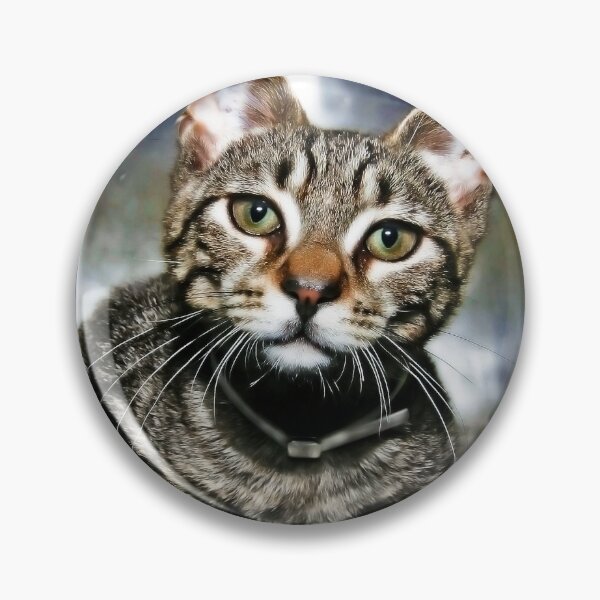 Item preview, This is Grant designed and sold by Mark Ross.