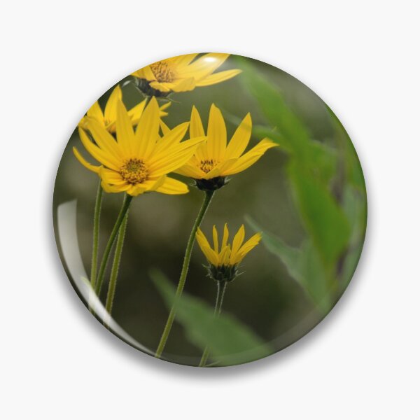 Item preview, alb jerusalem artichokes designed and sold by pcfyi.
