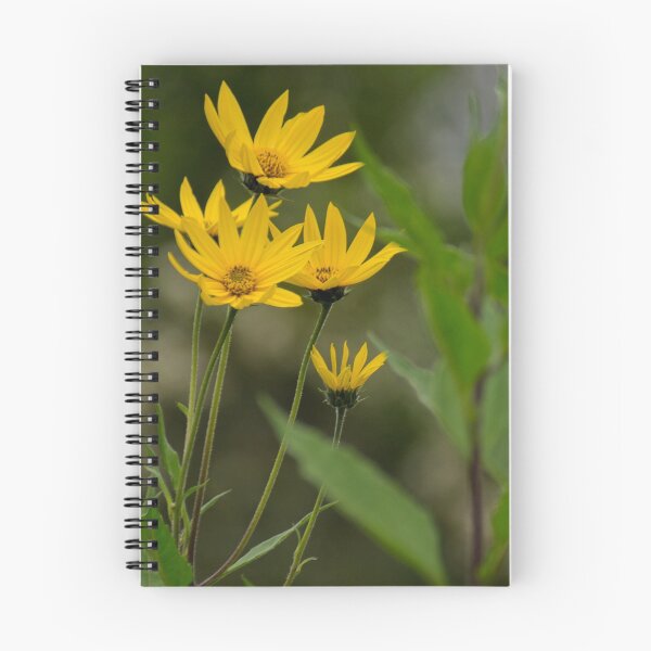 Item preview, alb jerusalem artichokes designed and sold by pcfyi.