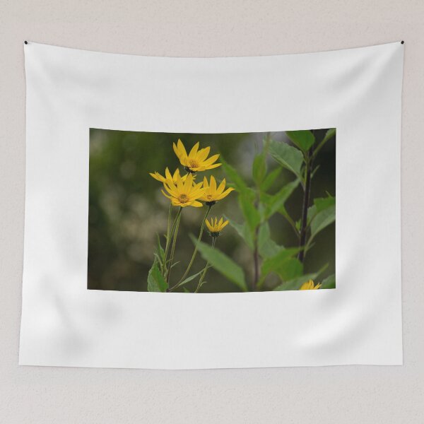 Item preview, alb jerusalem artichokes designed and sold by pcfyi.