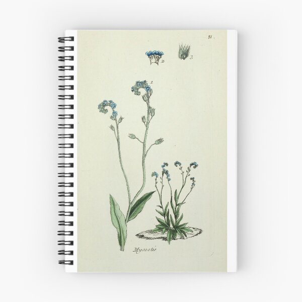 Item preview, blue flower field guide page  designed and sold by teadetae.