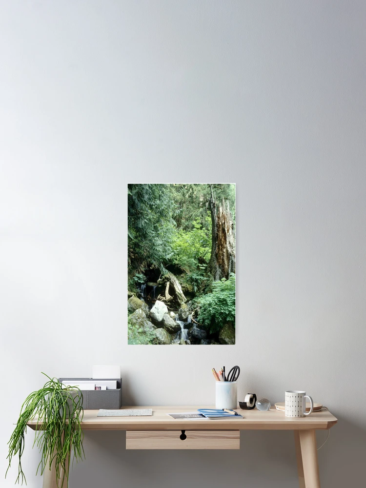 Thumbnail 2 of 3, Poster, Boding Brook designed and sold by DayColors.