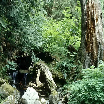 Artwork thumbnail, Boding Brook by DayColors