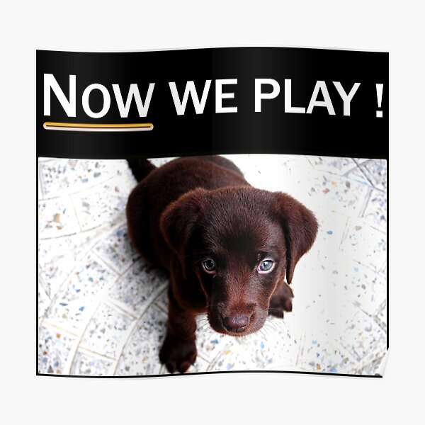 Now We Play with Puppy! Poster