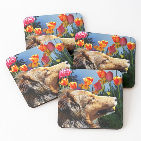 Item preview, Sheltie likes tulips designed and sold by LeRoyM.