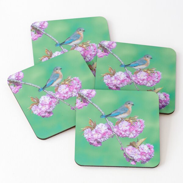 Item preview, Eastern Bluebird on Kwanzan Cherry designed and sold by (Tallow) Dave  Van de Laar.