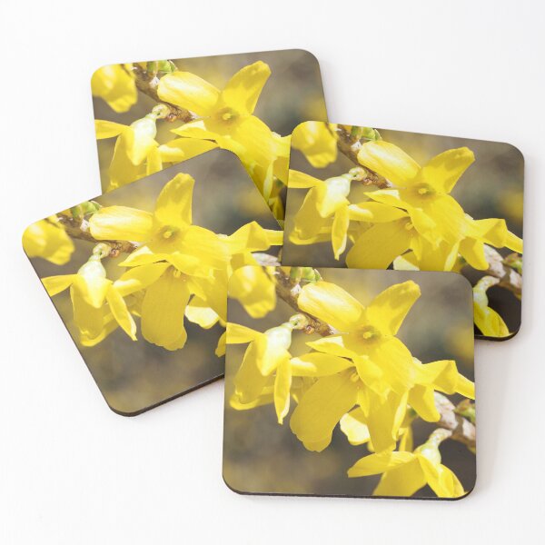 Item preview, Forsythia 2 designed and sold by litwphoto.