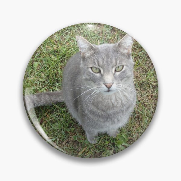 Item preview, Sat Cat designed and sold by CJGrimes.