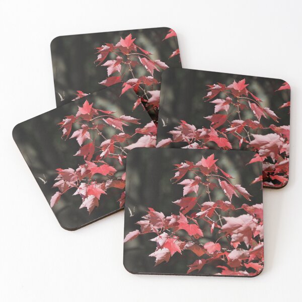 Item preview, Red Maple 2 designed and sold by litwphoto.