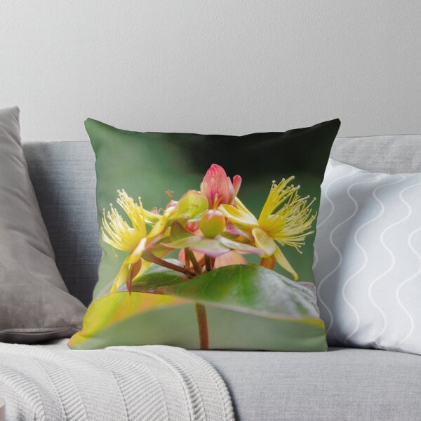 Item preview, Hypericum designed and sold by JEZ22.