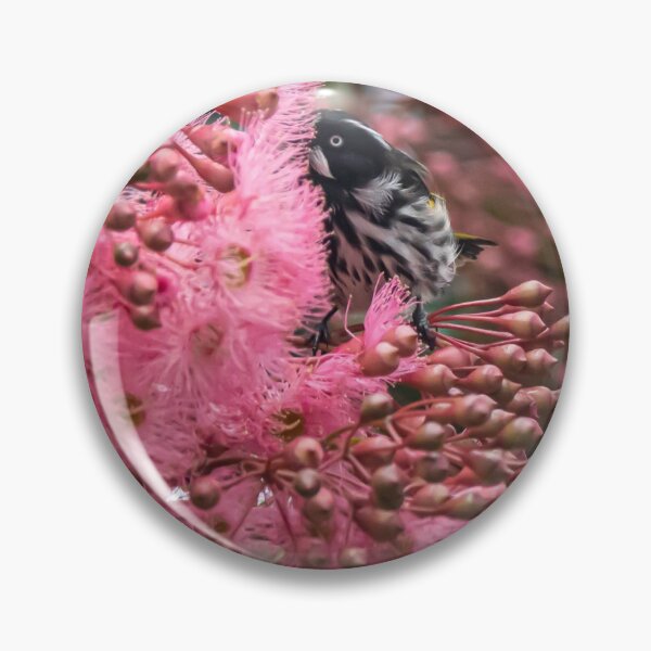 Item preview, New Holland Honey eater designed and sold by Annette63.