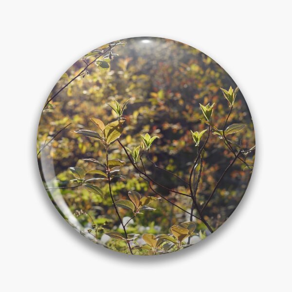 Item preview, spring in wisconsin designed and sold by distracted.