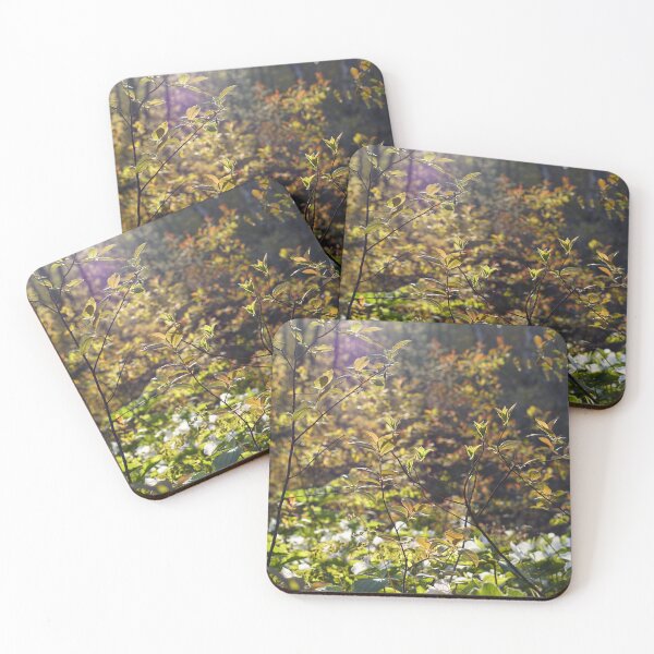 Item preview, spring in wisconsin designed and sold by distracted.