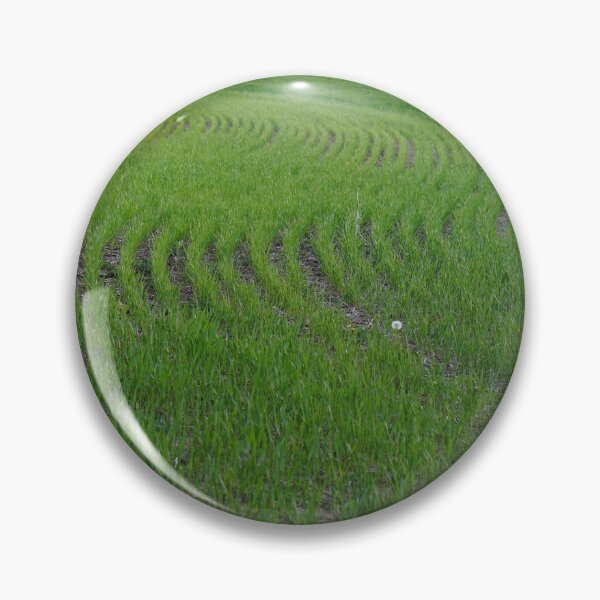 Item preview, spring in wisconsin designed and sold by distracted.