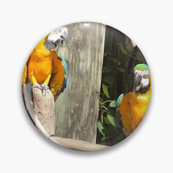 Item preview, Macaw designed and sold by marelysmartllc.