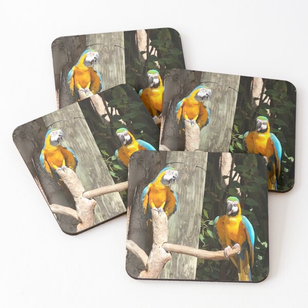 Item preview, Macaw designed and sold by marelysmartllc.