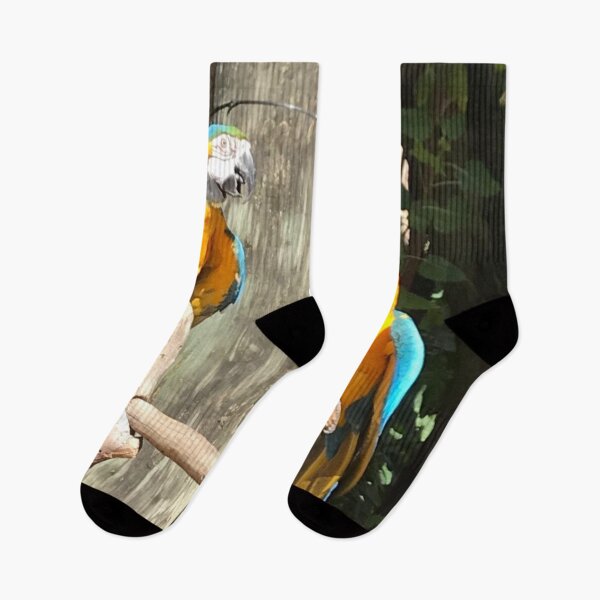 Item preview, Macaw designed and sold by marelysmartllc.