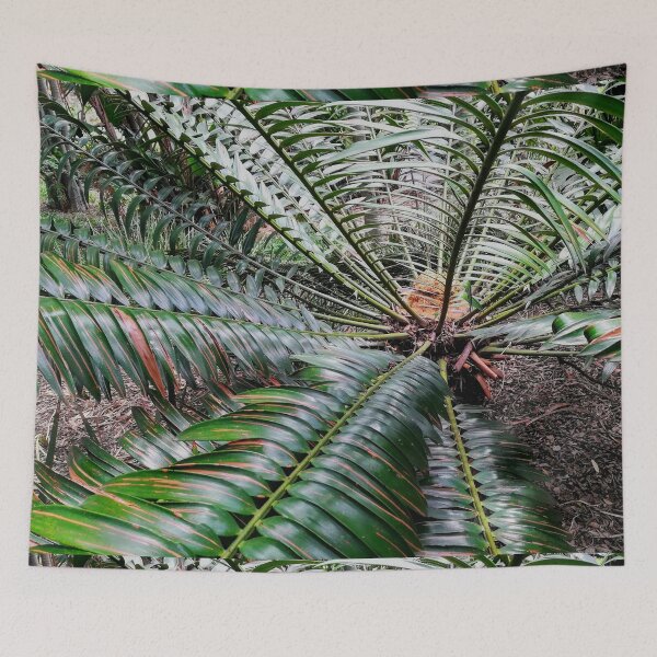 Item preview, Cycad  designed and sold by Weather gifts .