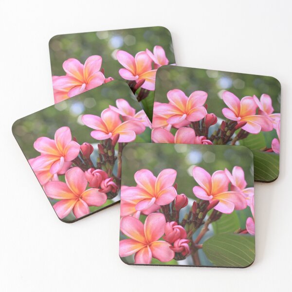 Item preview, Frangipani Flowers designed and sold by Sinemathk.