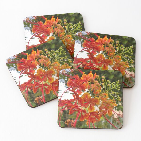 Item preview, Red and Yellow Bird of Paradise Flower designed and sold by Sinemathk.