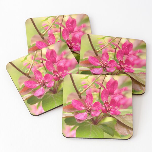 Item preview, In full bloom designed and sold by Babbler01.