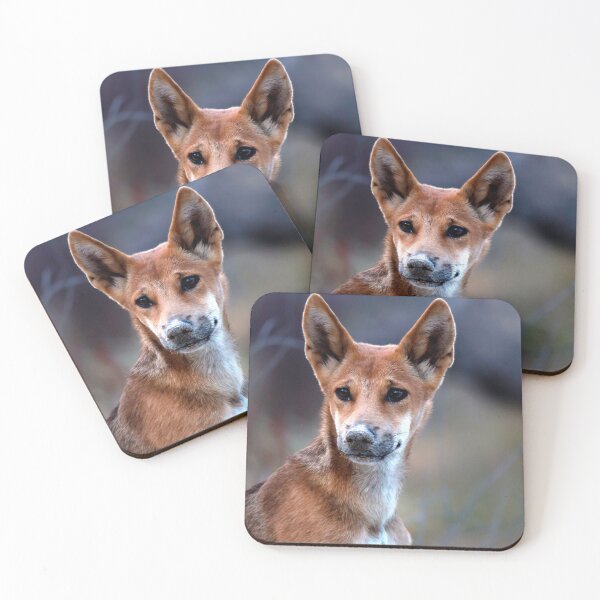 Item preview, Kgari (Fraser Island)      Dingo Pup designed and sold by Annette63.