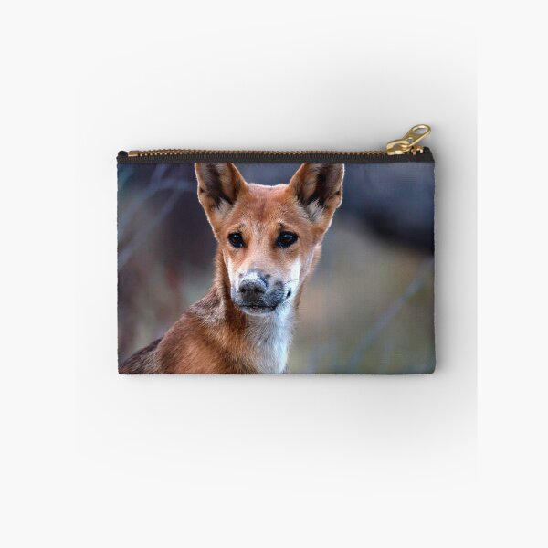Item preview, Kgari (Fraser Island)      Dingo Pup designed and sold by Annette63.