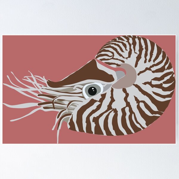 Item preview, Nautilus designed and sold by penwah.