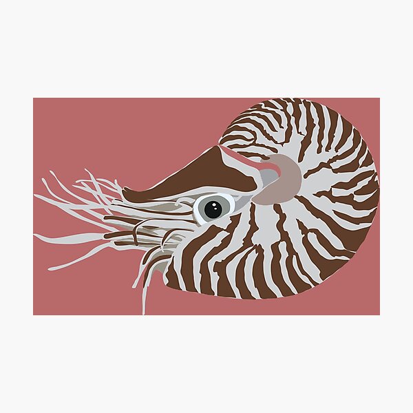 Item preview, Nautilus designed and sold by penwah.