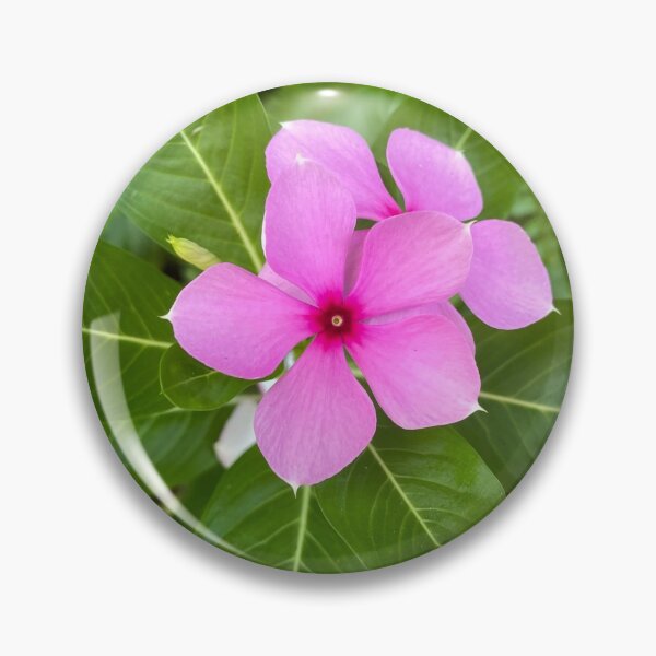 Item preview, Purple Catharanthus Flowers designed and sold by Sinemathk.