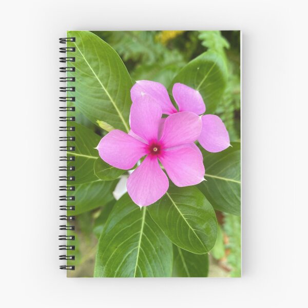 Item preview, Purple Catharanthus Flowers designed and sold by Sinemathk.
