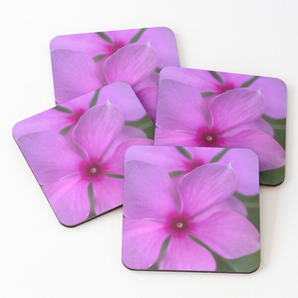 Item preview, Purple Catharanthus Flowers designed and sold by Sinemathk.
