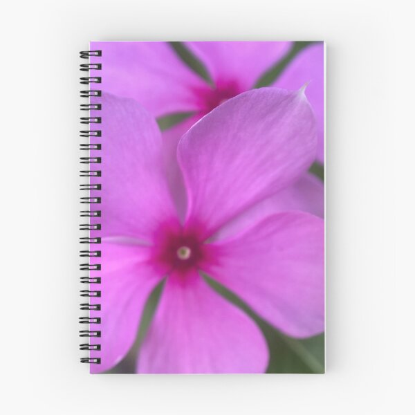 Item preview, Purple Catharanthus Flowers designed and sold by Sinemathk.
