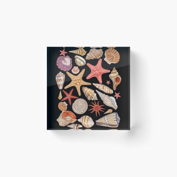 Item preview, Sea Shells Collection  designed and sold by roocky.