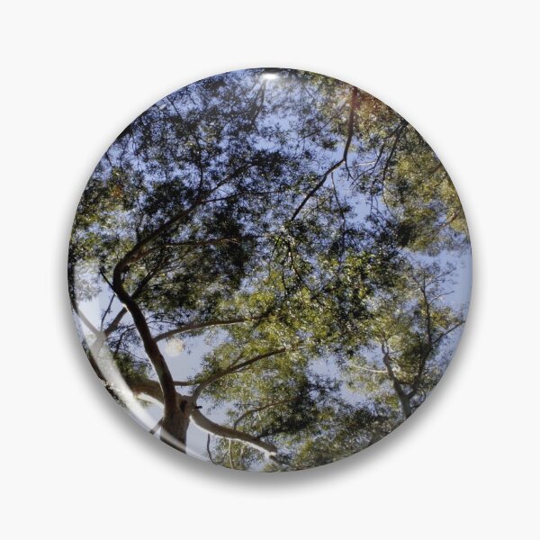 Item preview, Eucalyptus Tree Canopy Abstract Photography designed and sold by taiche.