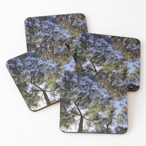 Item preview, Eucalyptus Tree Canopy Abstract Photography designed and sold by taiche.