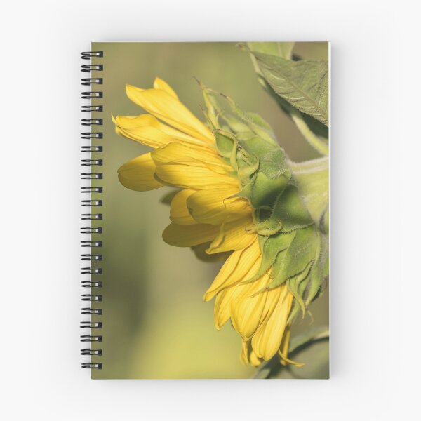 Item preview, Sunflower 2016-1 designed and sold by Thomasyoung.