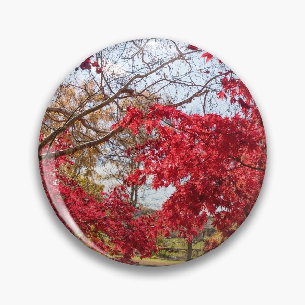Item preview, Kaydale Gardens, Tasmania, Autumn Splendor designed and sold by David Jamrozik.