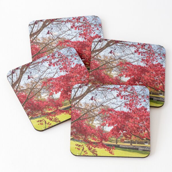Item preview, Kaydale Gardens, Tasmania, Autumn Splendor designed and sold by David Jamrozik.