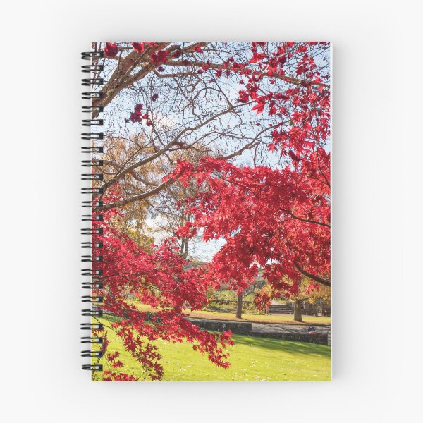 Item preview, Kaydale Gardens, Tasmania, Autumn Splendor designed and sold by David Jamrozik.