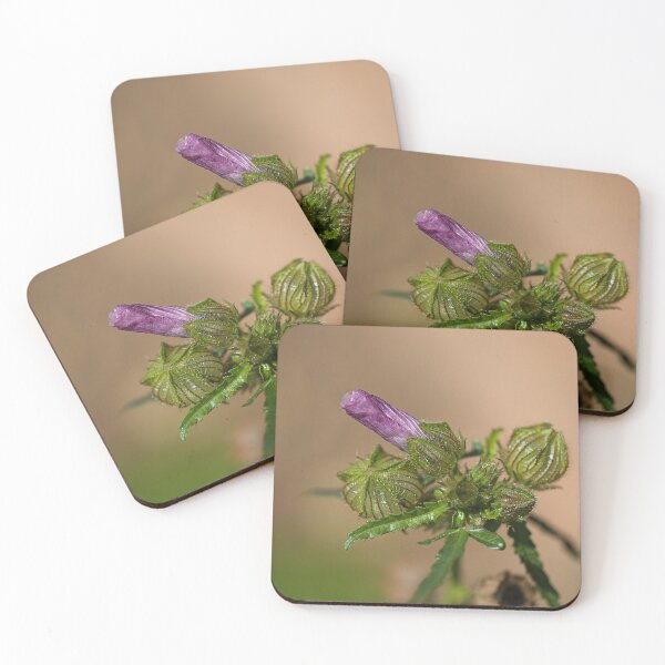 Item preview, Hibiscus Purple Bud Green Pleats  designed and sold by Joy Watson - Natural Light Photography .
