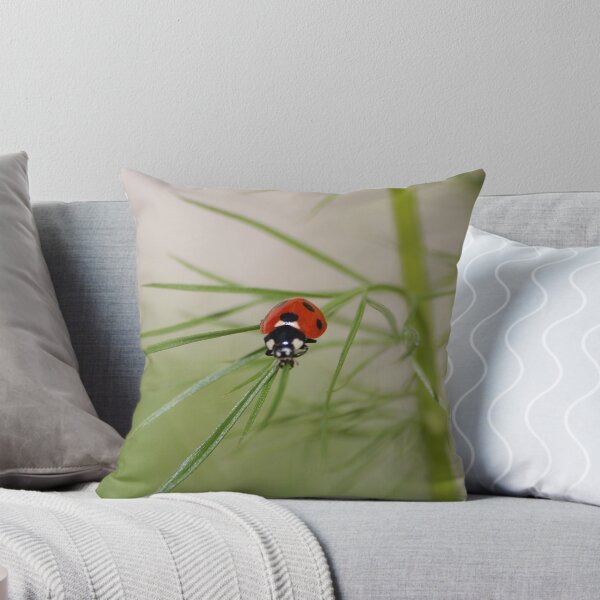 Item preview, Baby ladybird designed and sold by Declan Carr.