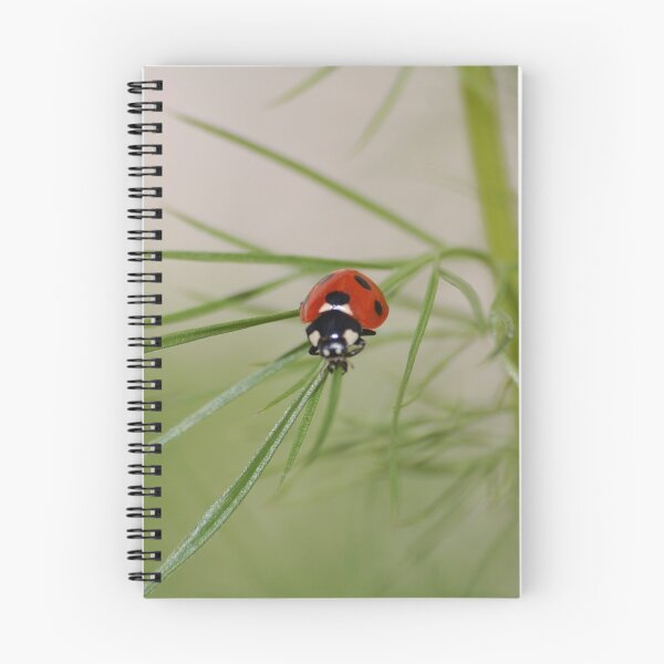Item preview, Baby ladybird designed and sold by Declan Carr.