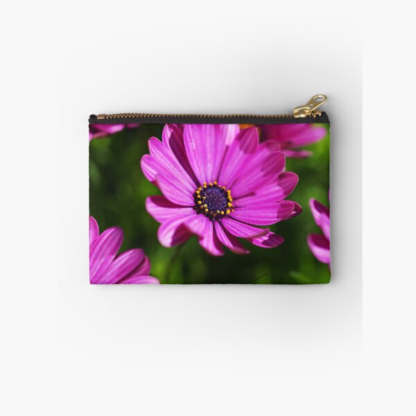 Item preview, Cape Daisies All Together  designed and sold by Joy Watson - Natural Light Photography .