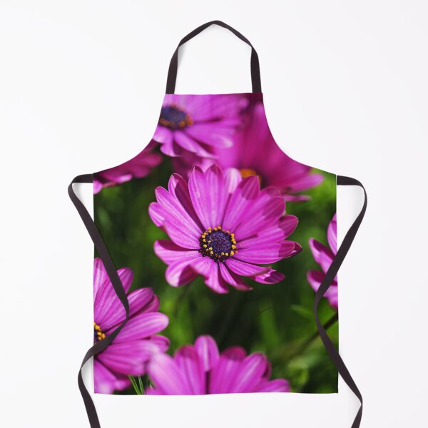 Item preview, Cape Daisies All Together designed and sold by Joy Watson - Natural Light Photography .